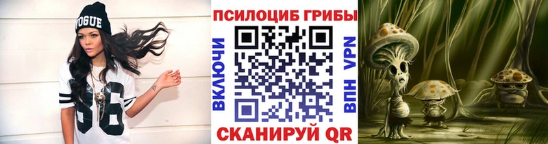 Купить закладки  Остров  Псилоцибиновые грибы мицелий 